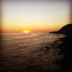 Meet your Posher, Priscilla